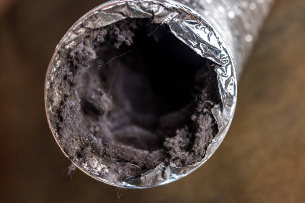 Best Commercial Air Duct Cleaning  in Three Forks, MT