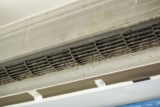 Best Ventilation Cleaning Services  in Three Forks, MT